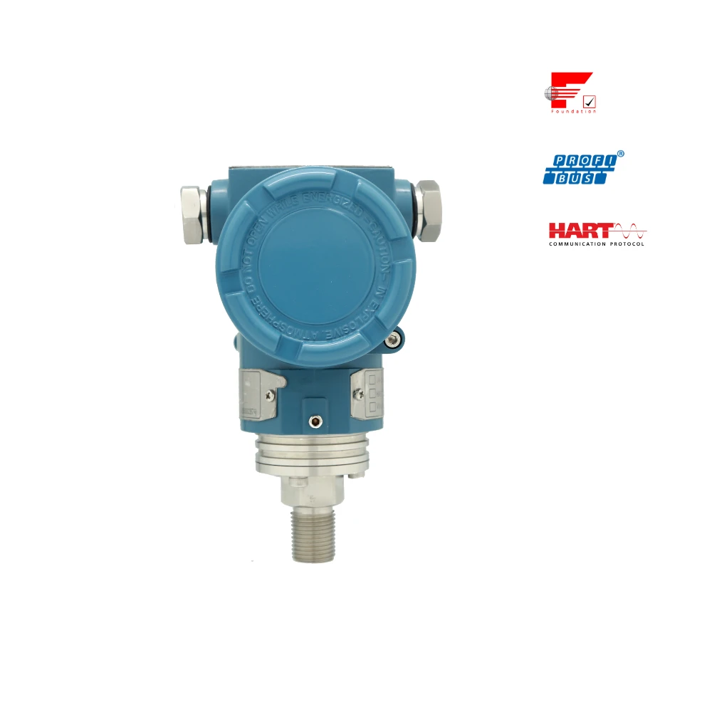 IP67 Explosion-proof FF Protocol Fieldbus Micro Differential Pressure Measuring Terminal