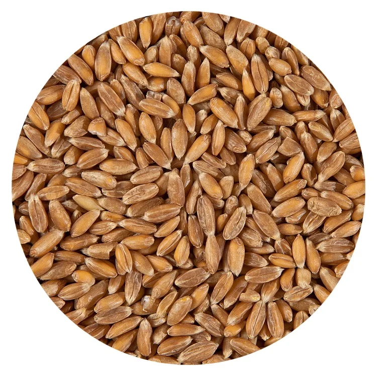 
 Оптовая продажа, без ГМО, копченая мелкозернистая Обычная копченая пшеница  