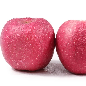 
Fresh Apple Of China Fruit With High Quality 