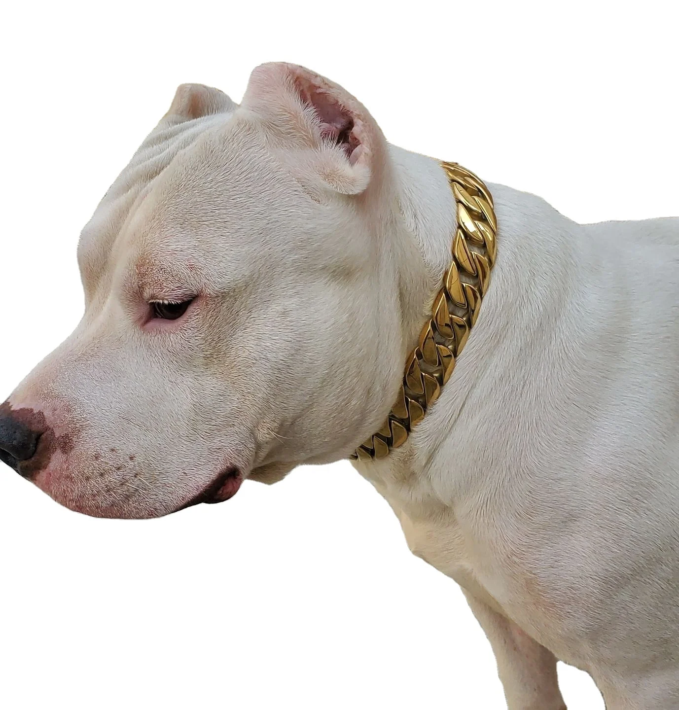 wholesale fashion cool strong 32mm stainless steel metal chain Bulldog American pit bull dog collar