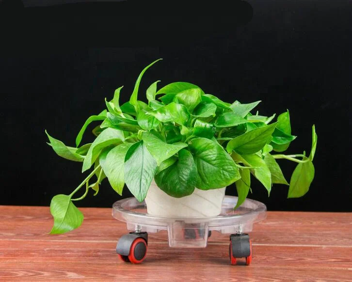 Plant Pot Stand Wheels Holder Dolly Mover Trolley Clear Plant Saucer Plastic Pulley Base Flowerpot Heavy Duty Plant Caddyr Drip
