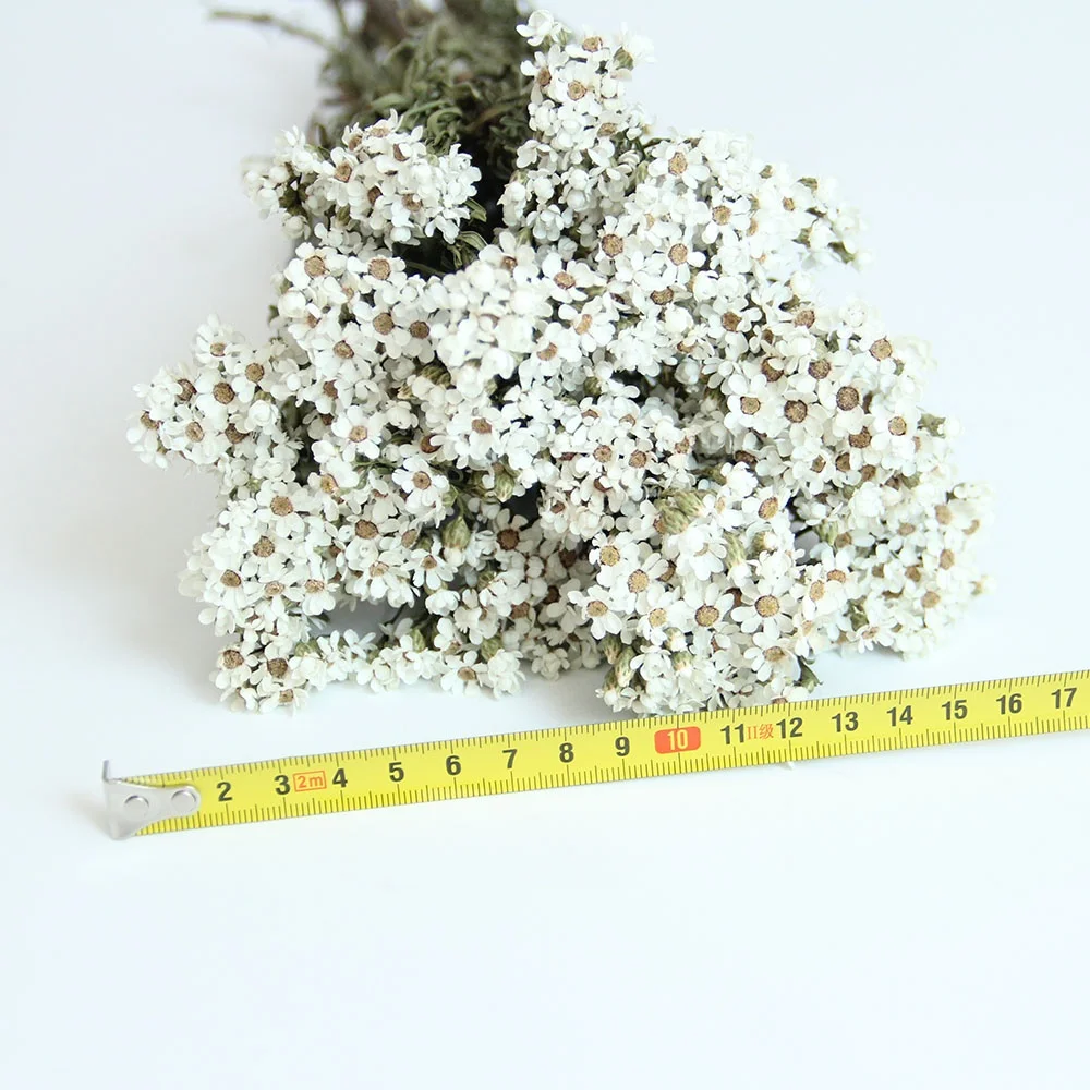 Wholesale New Arrivals Wedding Flowers Bouquets Ins Style White Jap Apricot For Home decoration or Valentines Day Gifts