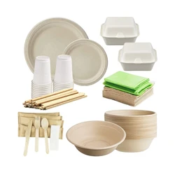 Disposable Eco compostable  biodegradable bagasse 250 guest birthday paper plates party wedding tableware and dinnerware set
