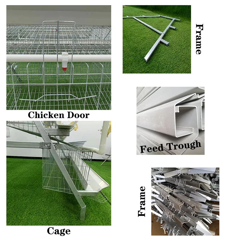 1000 Chickens Egg Layer chicken house With automatic water supply and feeder For Hens