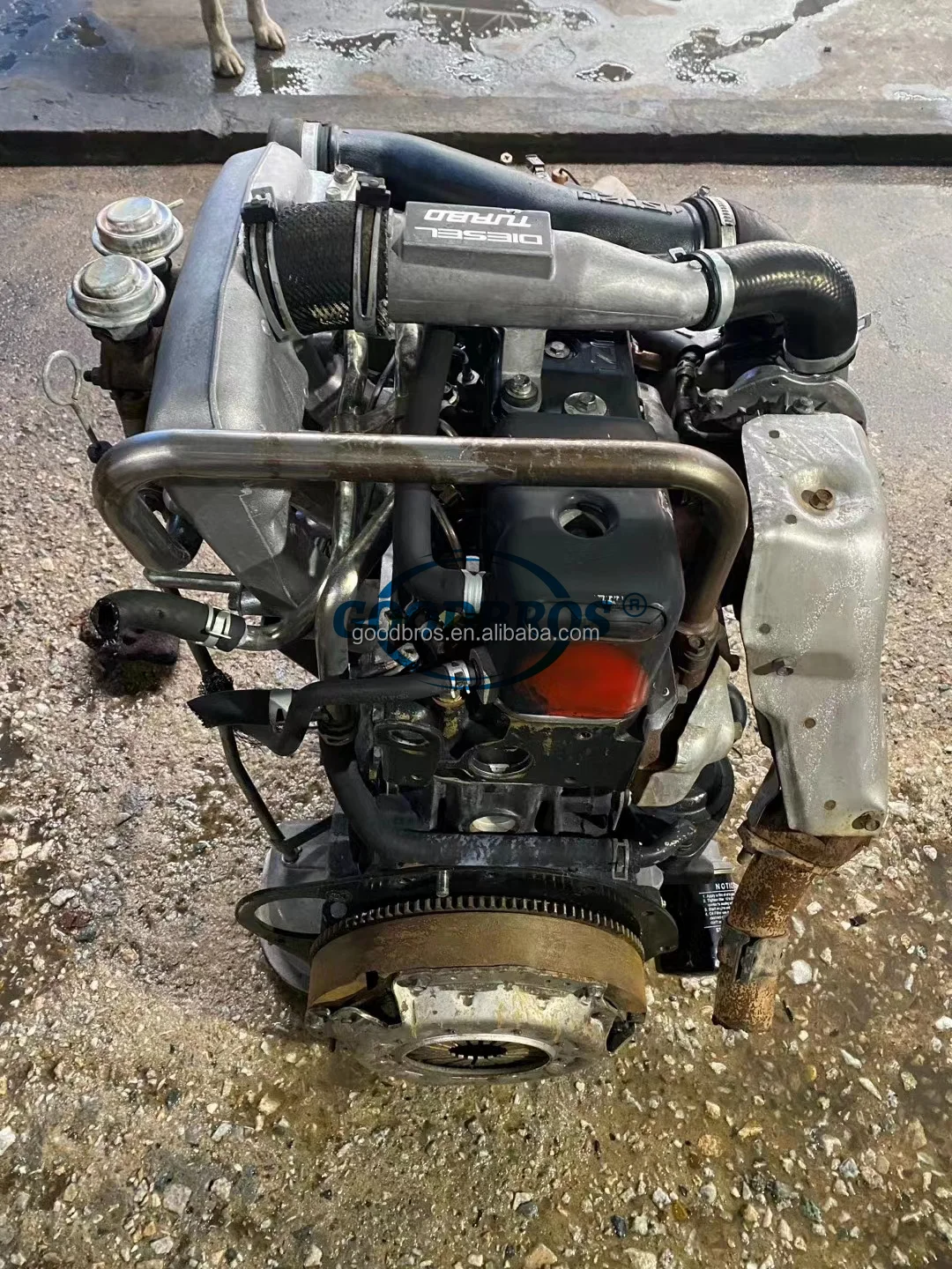 Japan Used Complete Diesel Engine 4JA1 4JA1T For Isuzu Pickup