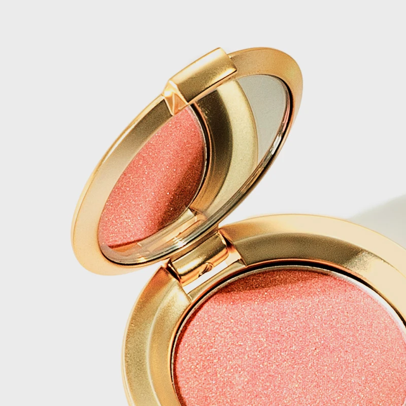 OEM Gold Coin Blush Vegan Vegan Satin New Makeup Rough Palette High Quality Powder Custom Private Label Brush