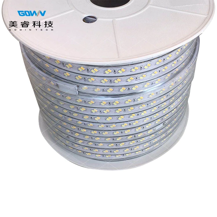 2020 Newly Developed AC110 220V smd 5730 led strip Dual Color Double White For Landscape