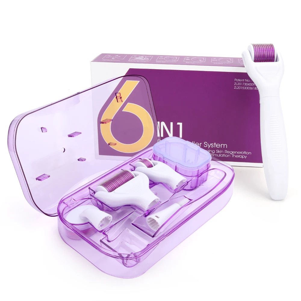 
6 in 1 Derma Roller Microneedling Kit, 0.25mm and 0.3mm Cosmetic Non-Invasive Micro Needle and Ice Rollers for Home Skin Care 