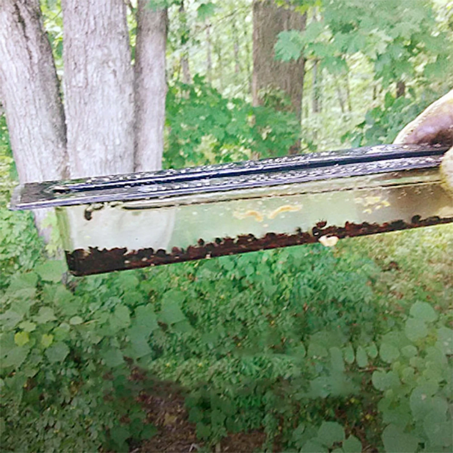 10pcs Plastic Hive Beetle Trap for Bee Hives Beekeeping