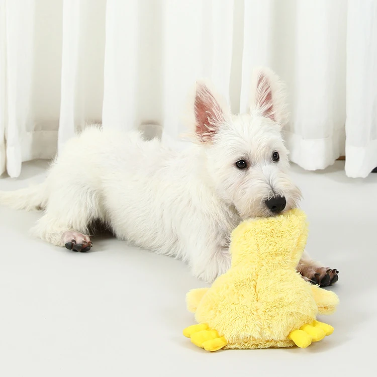 wholesale manufacturer plush stuffed squeaky dog yellow duck toys