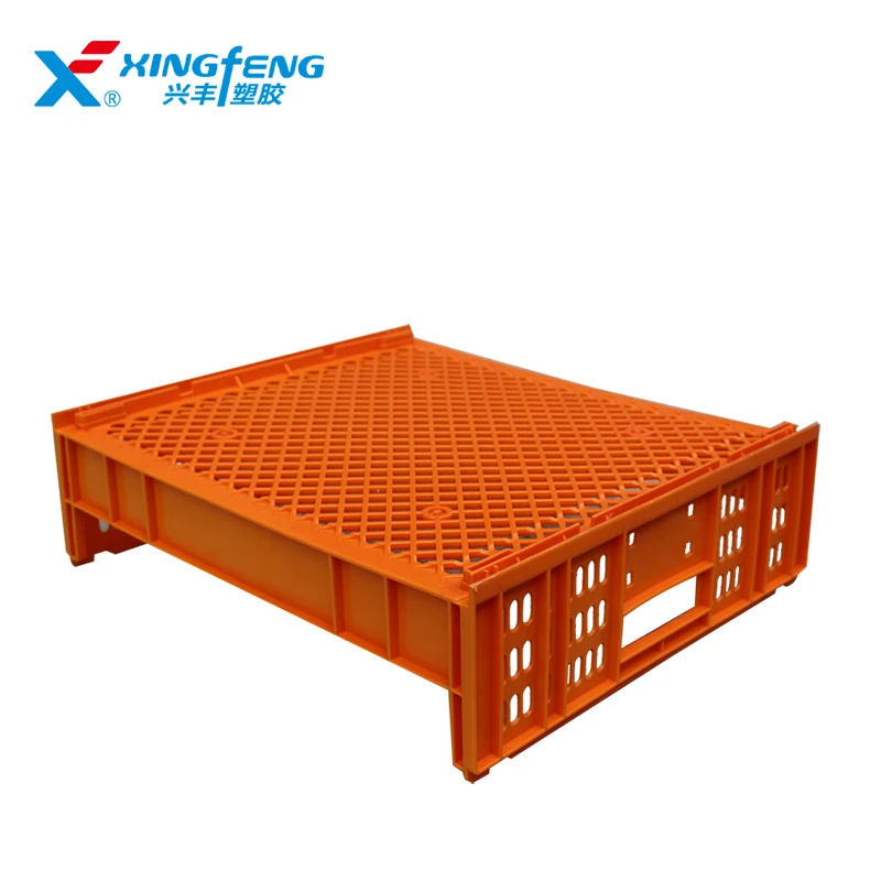 Bread Plastic Mesh Crate for Sale 545*485*165mm