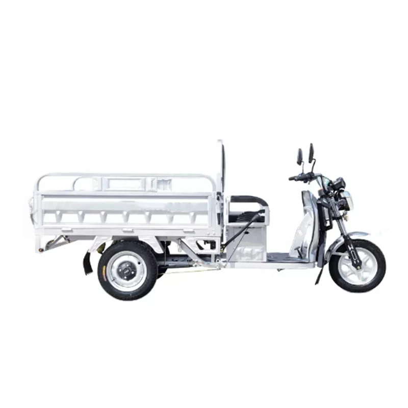 High quality Favorable Long Endurance Electric 3 wheel electric tricycle cargo motorcycle family farm use other tricycles