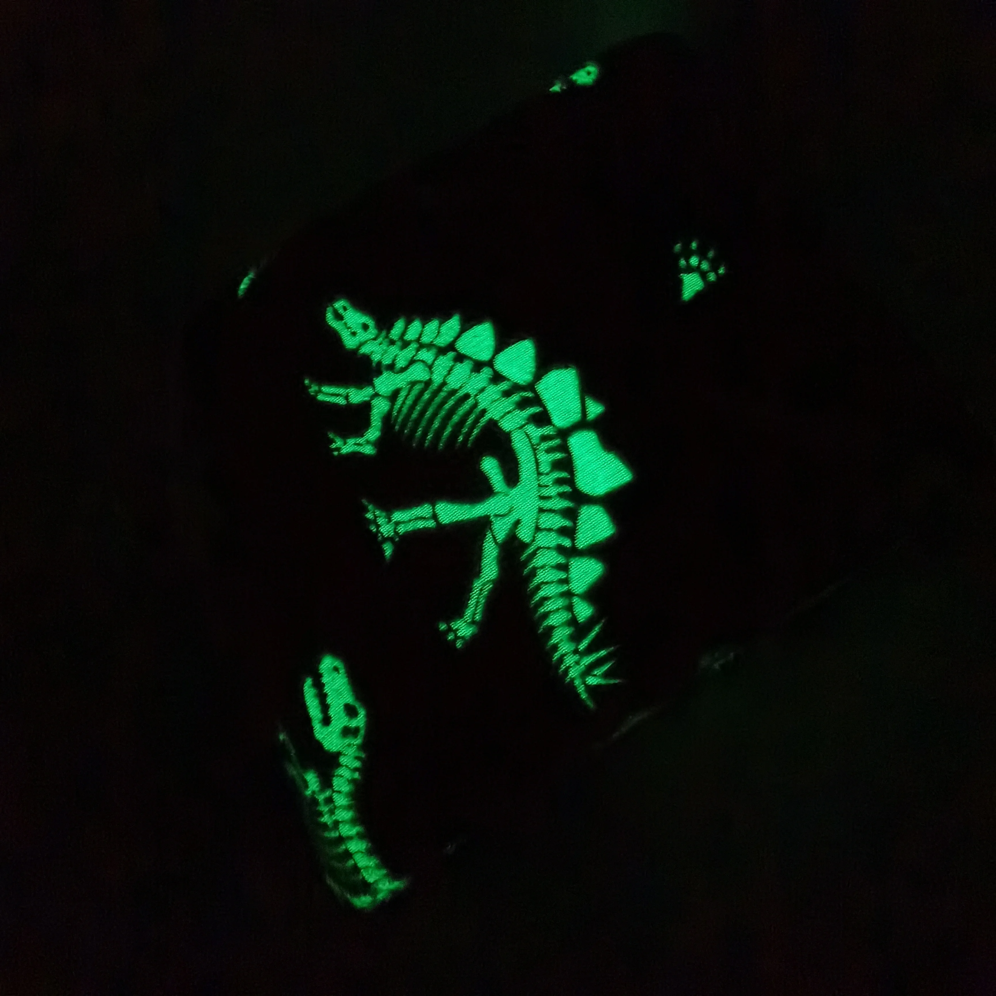 Polyester flannel coral fleece luminous dinosaur design fluorescent baby blanket glow in the dark luxury blanket throw for kids