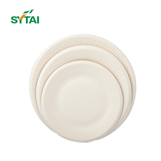 100% Biodegradable Dinnerware Round Plates Made of Disposable Sugarcane Fibers Compostable Dinner Tableware Dish Plates