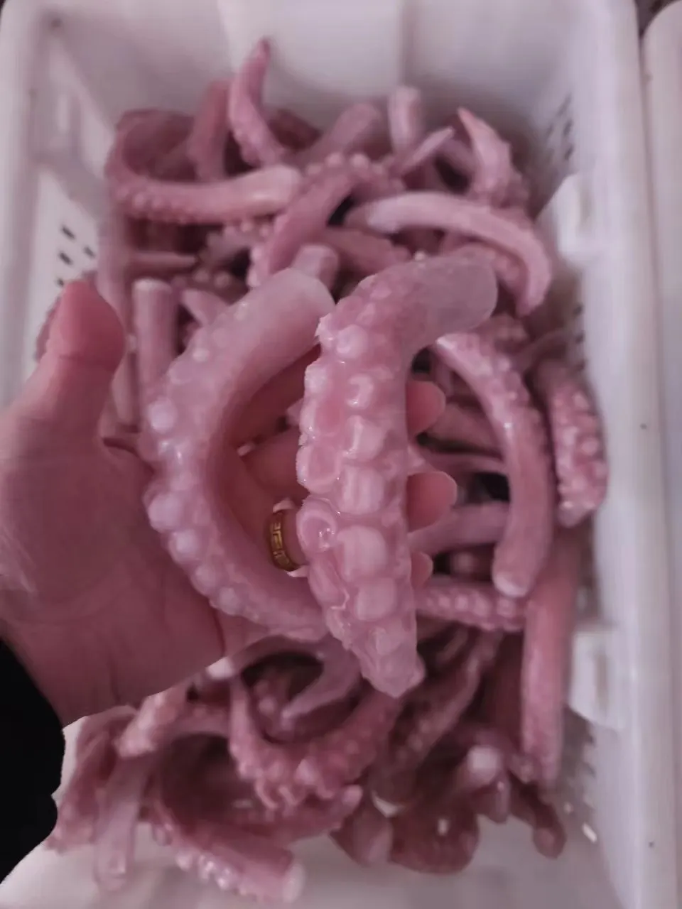 Заводская поставка привлекательная цена замороженные щупальца кальмара кубики импортер морепродуктов кальмар морской корм gigas наконечник