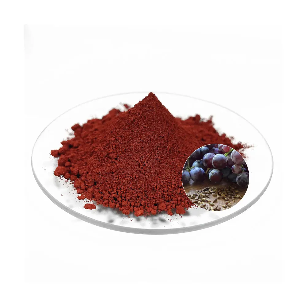High Purity Organic Grape Seed Extract Powder Herbal Extract Vitis Vinifera (grape) Seed Extract
