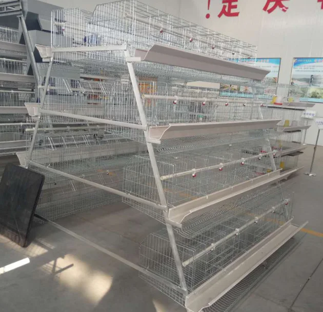 Tanzania Layer Poultry Farm Chicken Cage for Sale Automated Battery System