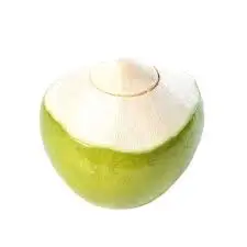 
FRESH YOUNG COCONUT- WHOLE TENDER COCONUT 