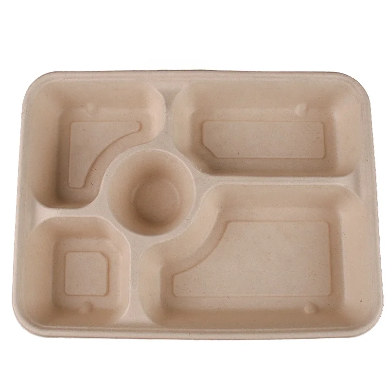 Compostable Disposable sugarcane Tray Plate natural  5-Compartment Dishes Party Food tray