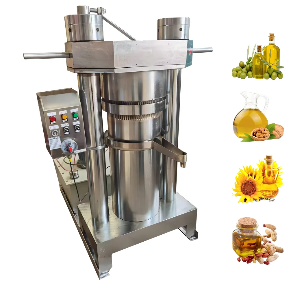 DZJX Home Use Small Sesame Sunflower Seed Basil Walnut Oil Hydraulic Oil Press Machine Cold Pressed Avocado Oil