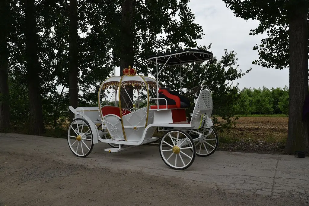 pumpkin carriage.jpg