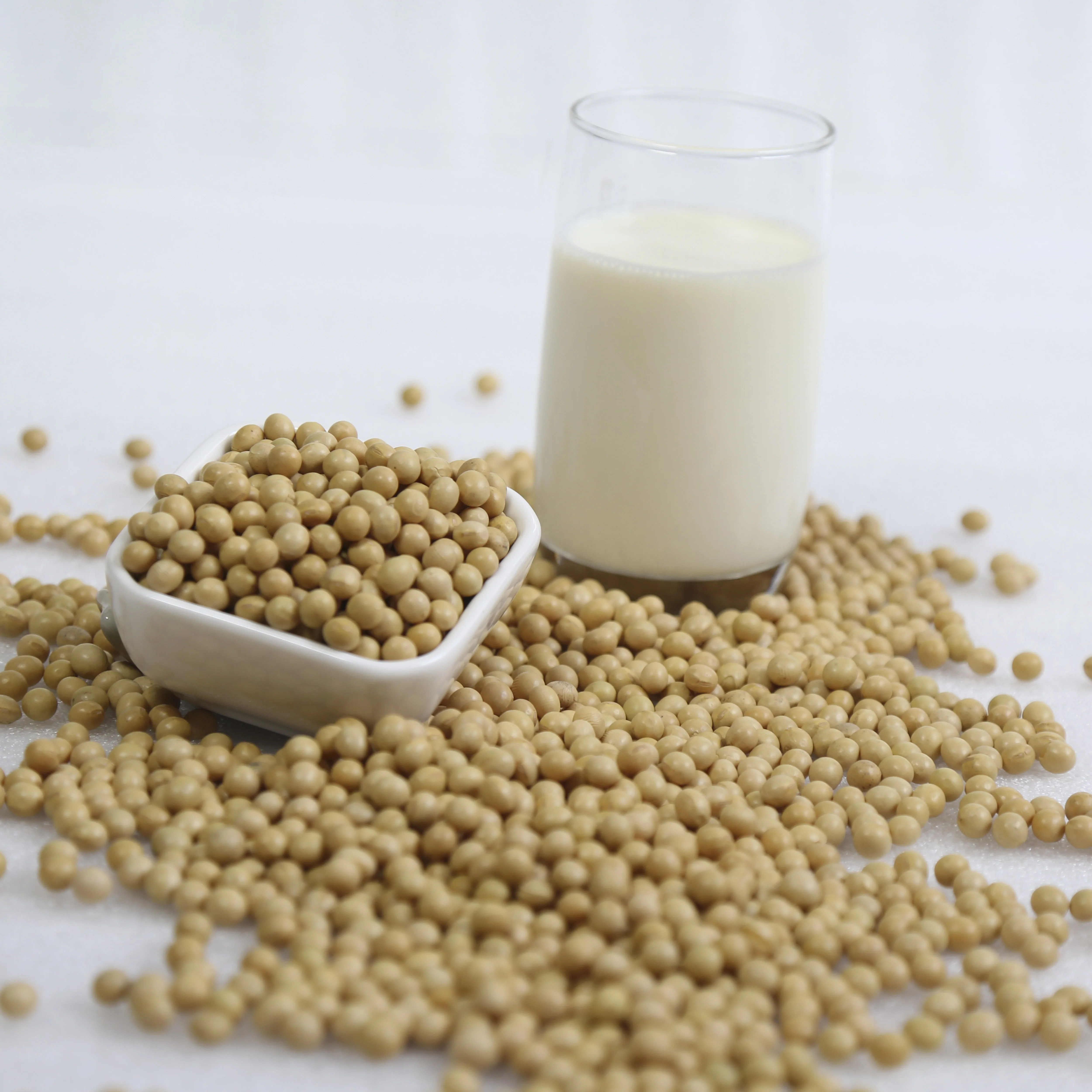 Non-GMO Органическая Лидер продаж пищевая фасоль soybeansoja для прорастания человеческого молока