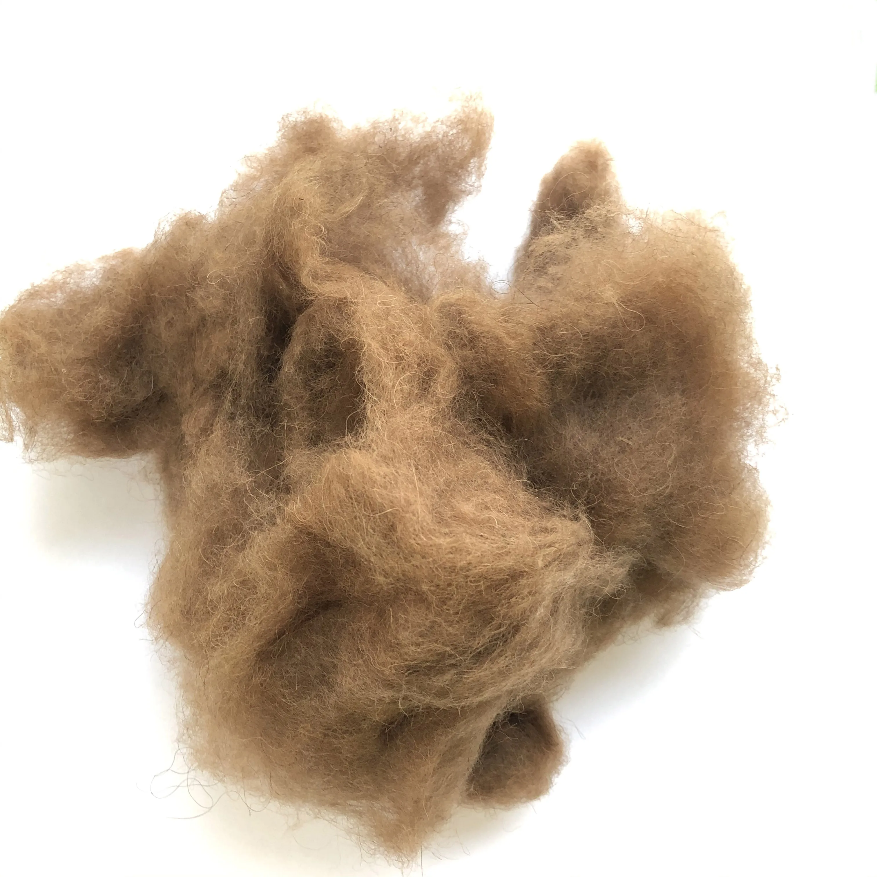 high quality factory price 100% camel hair with natural color for spinning yarn camel wool fiber for wholesale