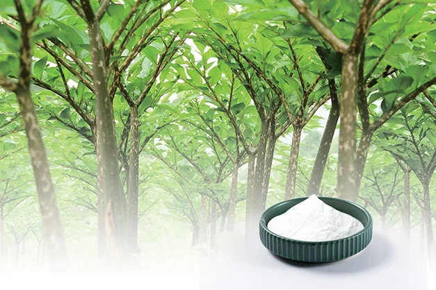 Free Sample Food Grade  Konjac Gum Powder Glucomannan Meal Vermicelli Dry Organic Konjac Powder