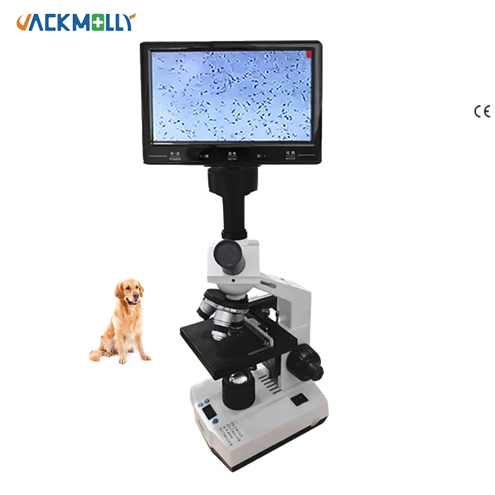 Medical high definition imaging JM-Q12 microscope digital biological laboratory constant temperature microscope