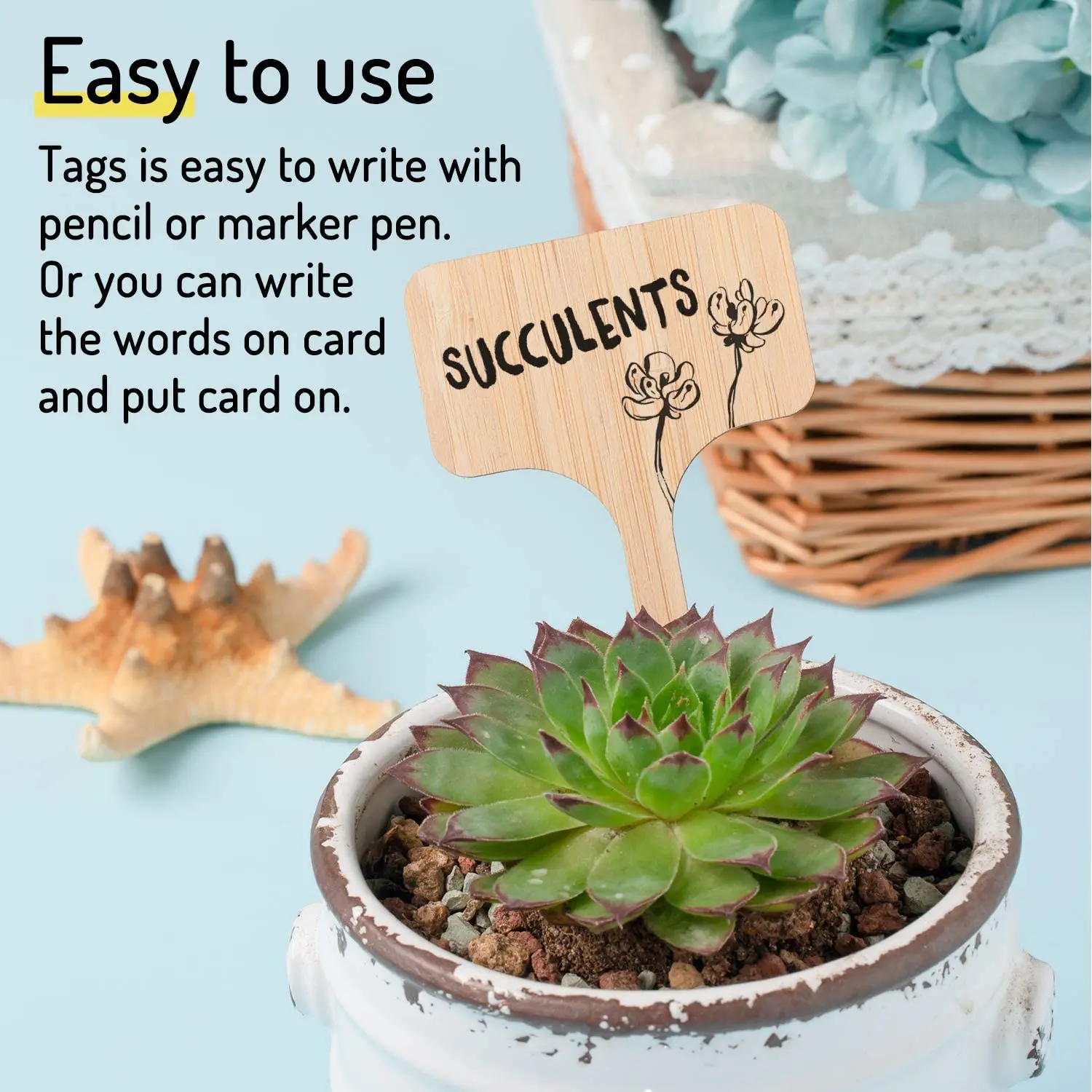Tailai Bamboo Wood Name Tag Bamboo Plant Labels Wooden Plant Sign Tags Bamboo Plant Labels T-Type Tags
