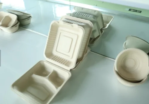disposable paper pulp tableware/biodegradable food container