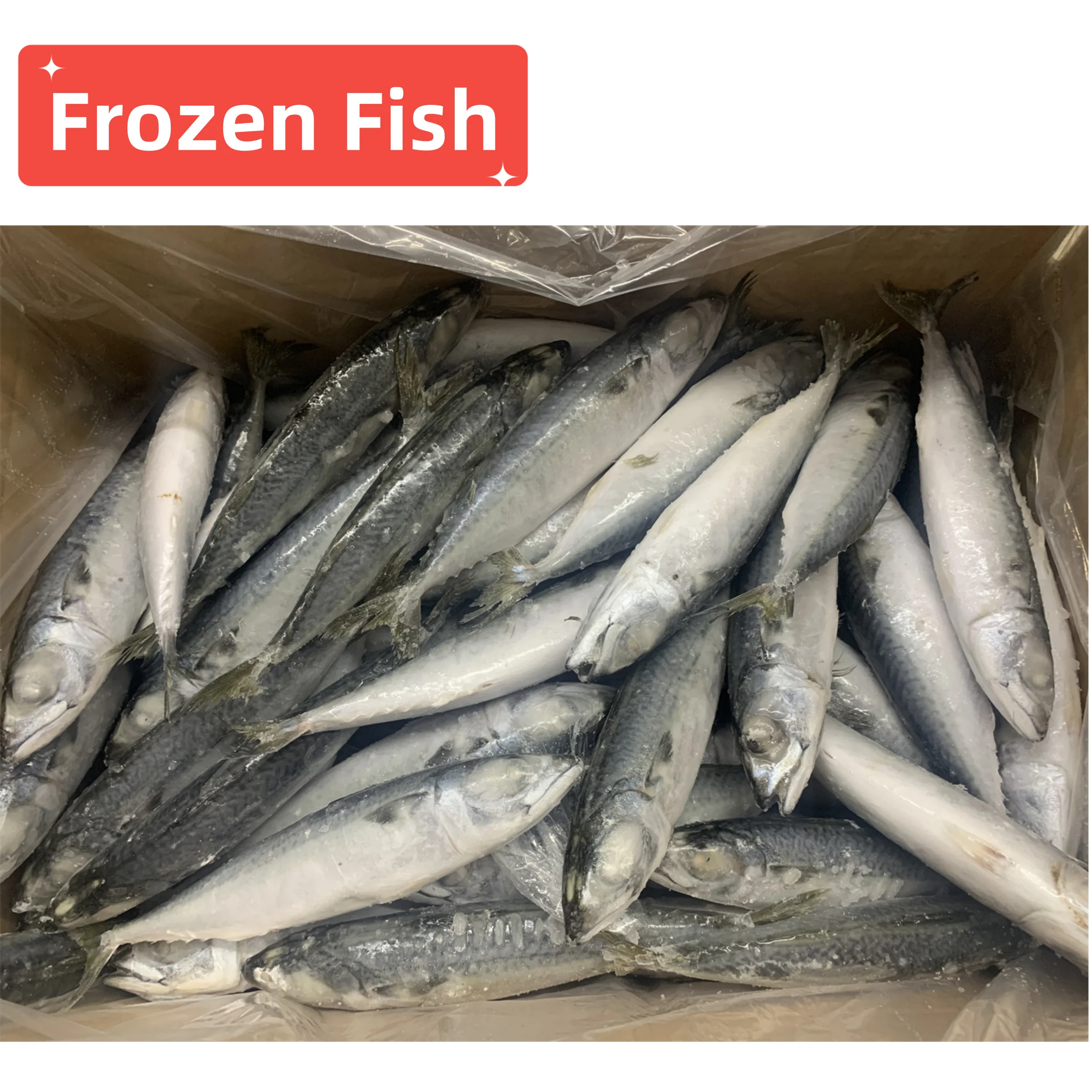 Sea And Landfrozen Pacific Mackerel Pacifated Mackerel Fish Frozen Mackerel Fish Prices