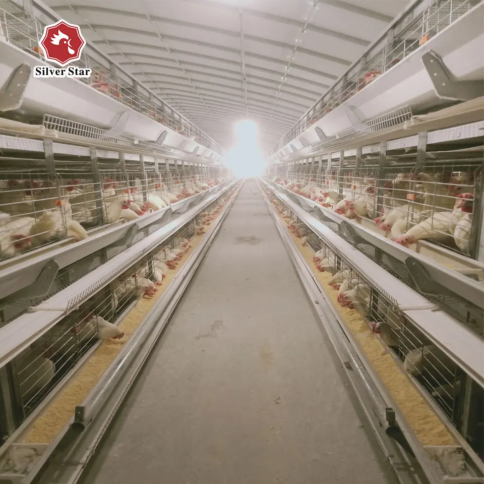 Wholesale good quality h type new design  layer cages for chicken farm building