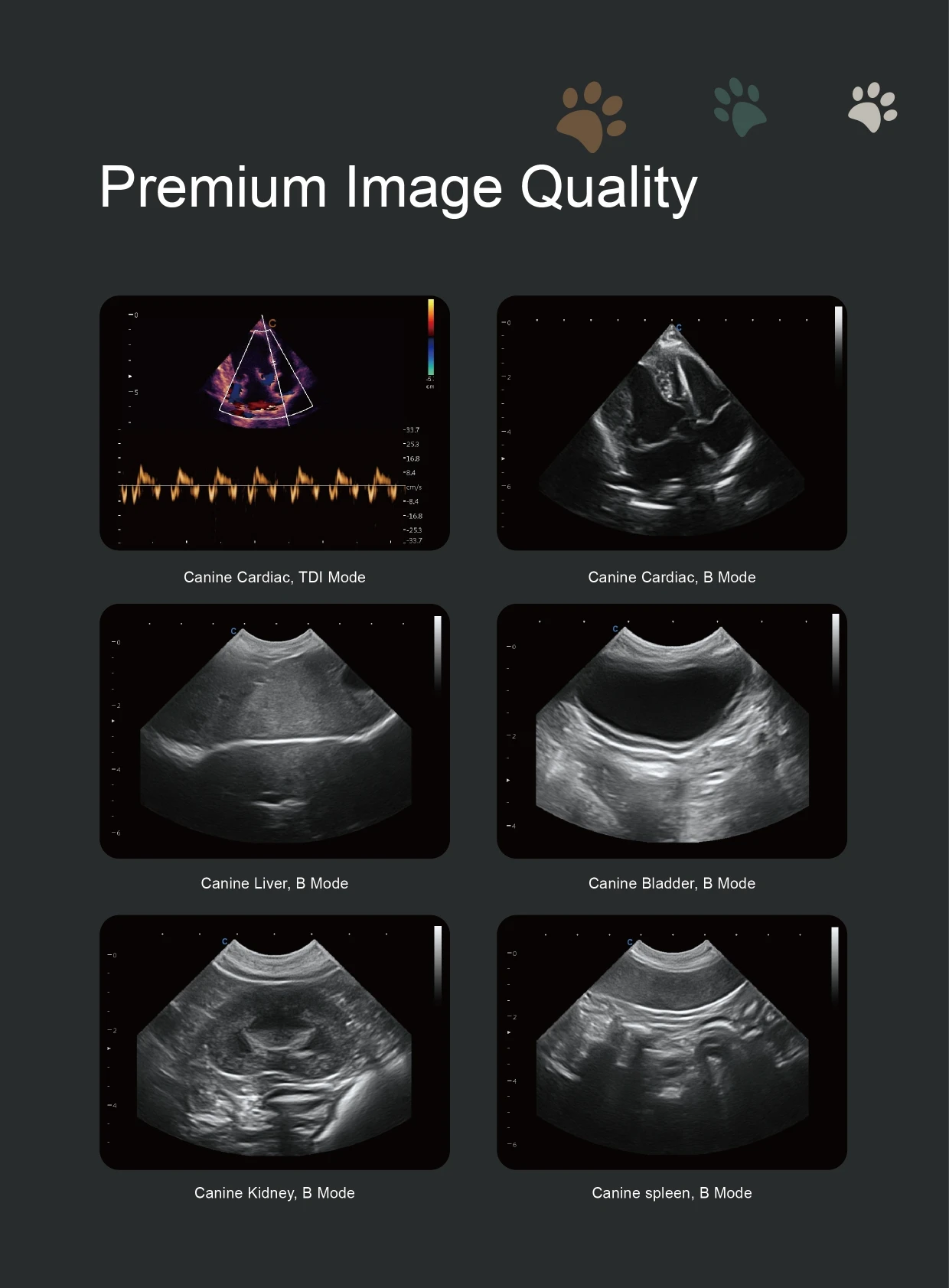 Ультразвуковой аппарат для комплексного лечения животных