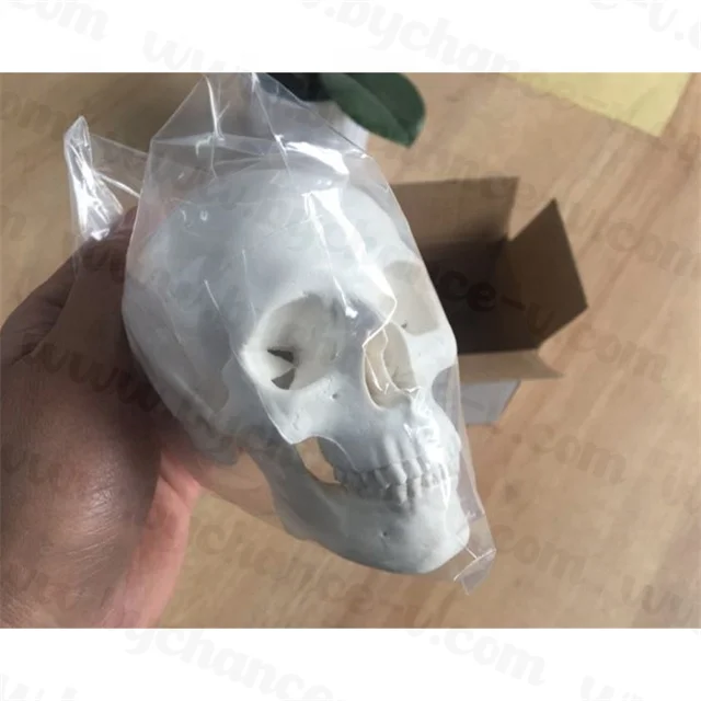 Medical Education props Small Size mini Human Anatomy Skull Model Adult Head Bone for Art Student Sketching
