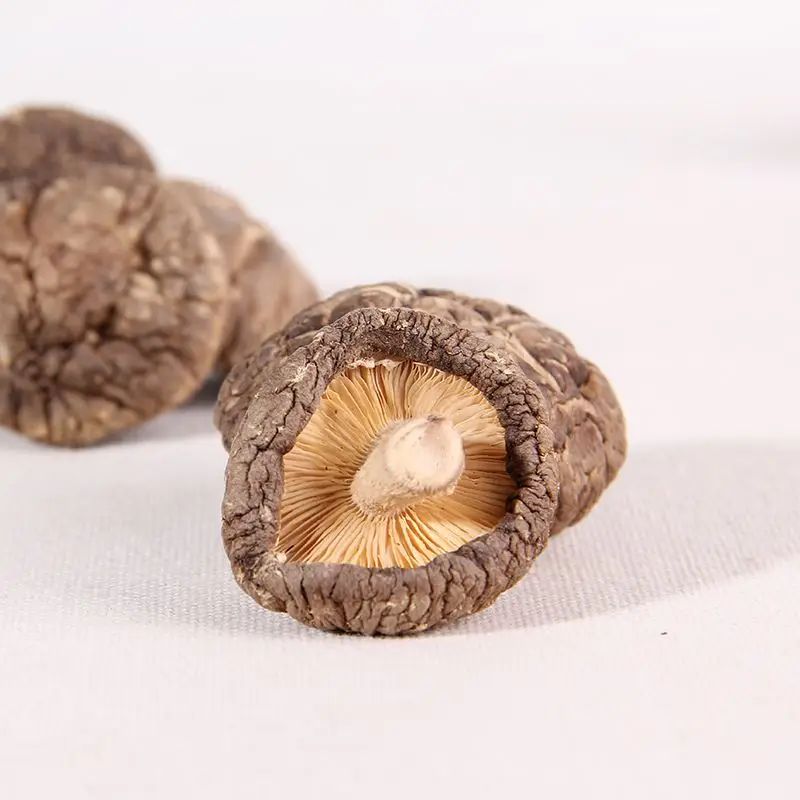 Xiang Gu Wholesale Organic Chinese Heath Herbal Food Fresh Shiitake Dried Mushrooms