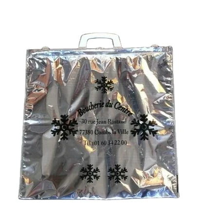 
Plastic Cooler Insulated Insulation Shopping Bag 
