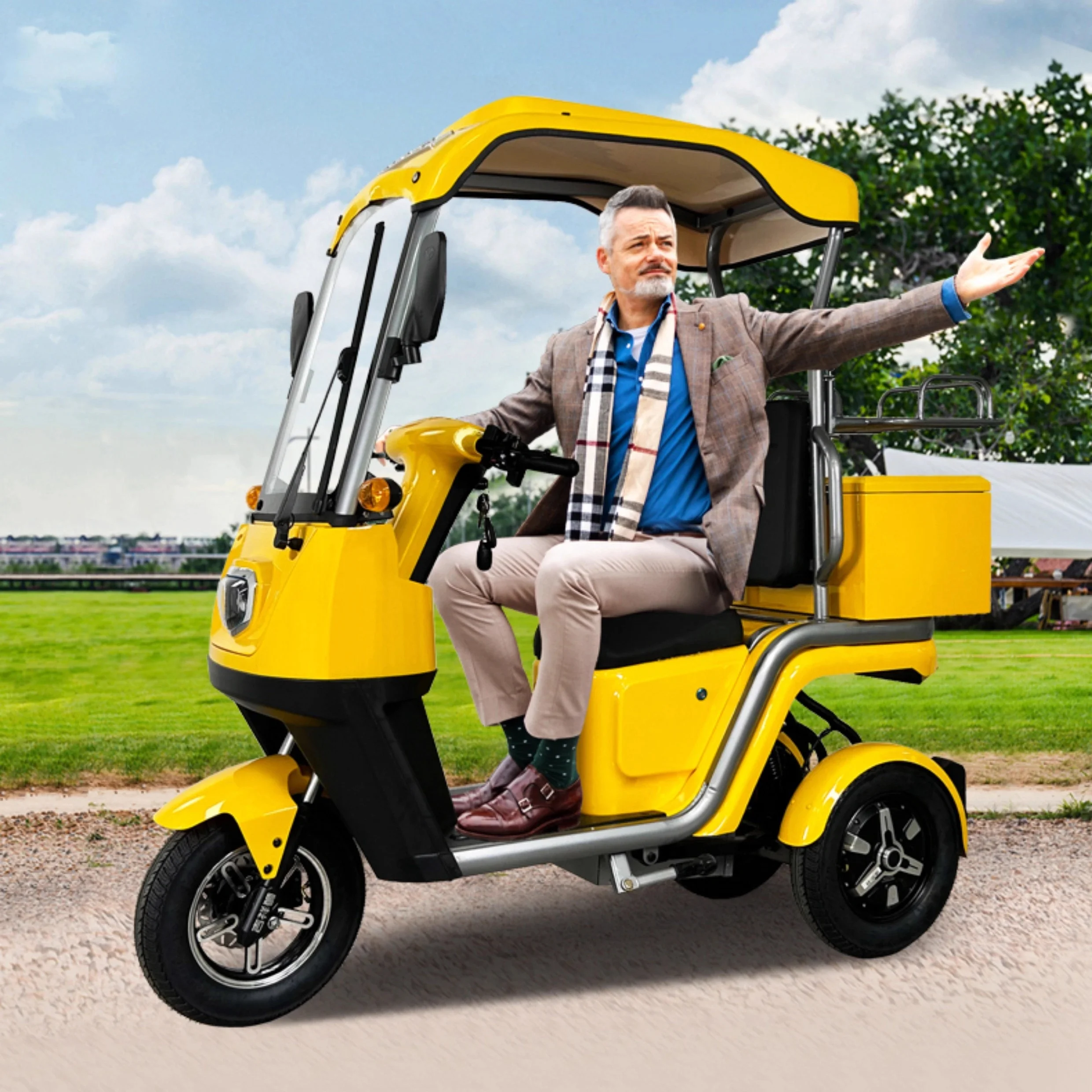 Electric Tricycle Adult Electric Fat Tire Tricycle Electric Tricycle Adult Freight Electric Bicycle