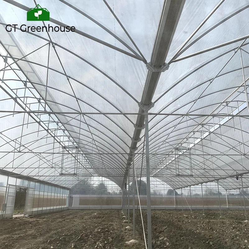GT Arch Green House металлический каркас многопролетных сельскохозяйственных теплиц