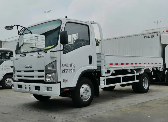 New ISUZU 3.6M Wheelbase Manual and Diesel Fuel Type 4*2 Euro V Emission Standard with 115 HP JAPAN Cargo Van Lorry truck