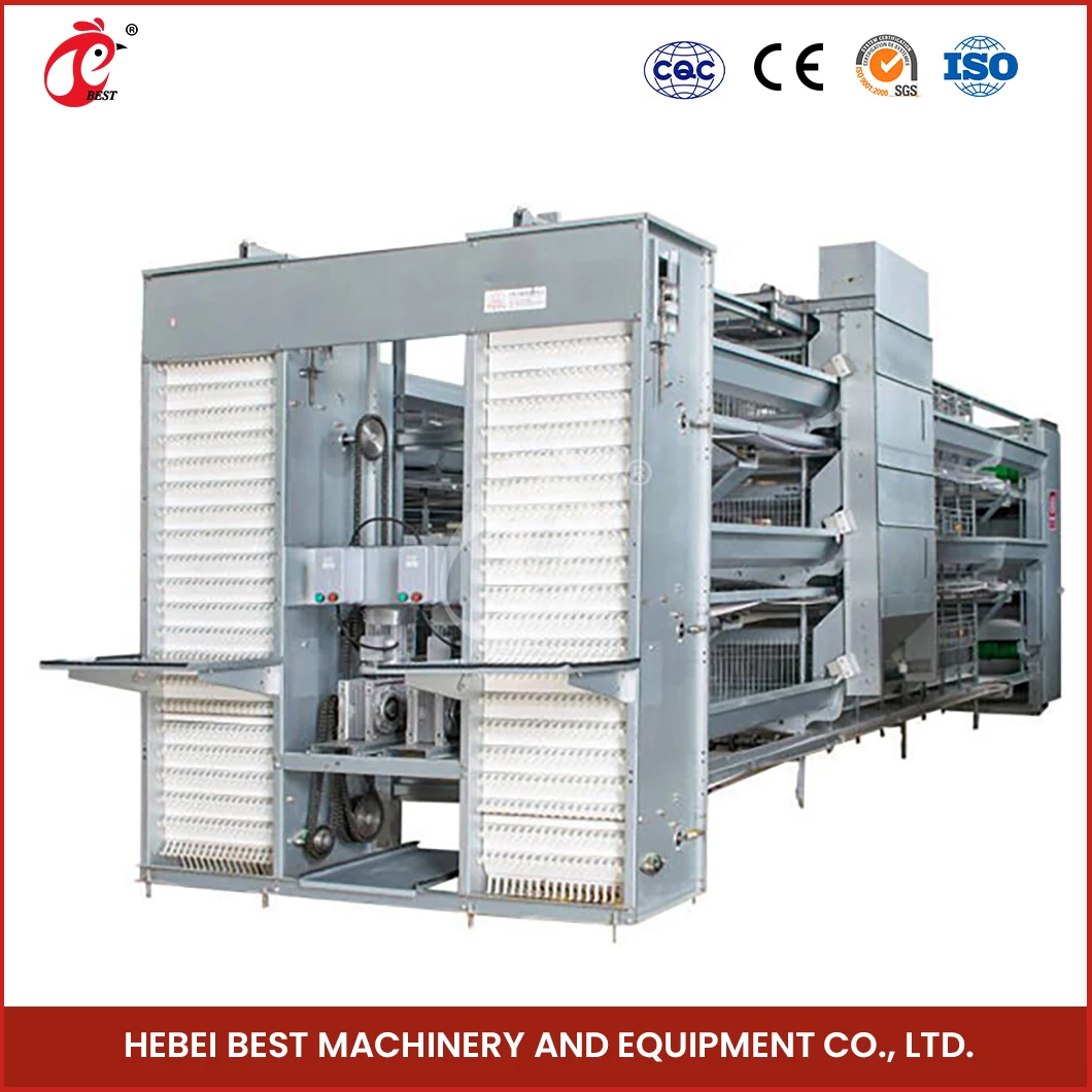 Layer Cage Fabricators China Ordinary Type Laying Coop Sample Available Large Laying Cages For Free Range Chickens