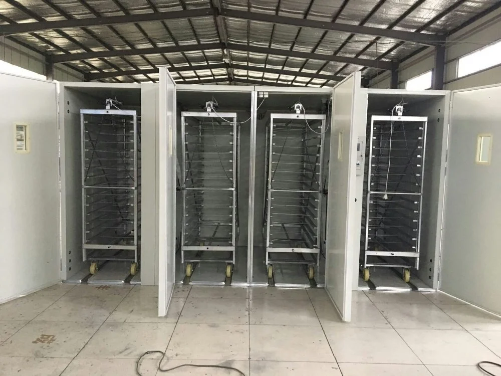 fully automatic industrial egg incubators for chicken 22528eggs