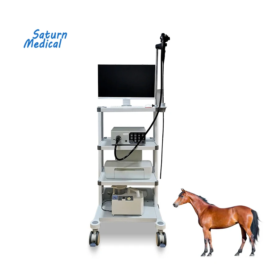 Best selling portable flexible 330cm big animal pet cattle horse sheep pig vet veterinary gastroscope