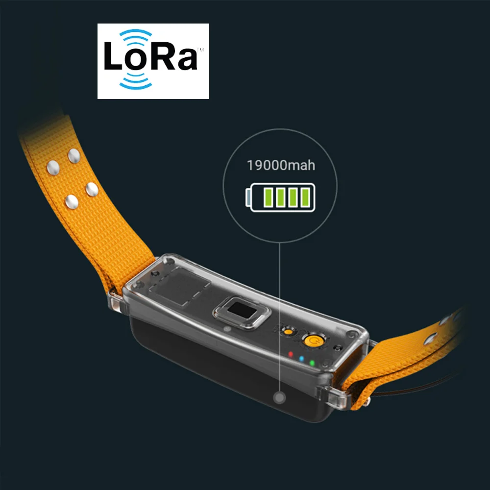 Лора устройство для отслеживания скота, Лора для домашнего скота, овец, коров, верблюд и лошадей