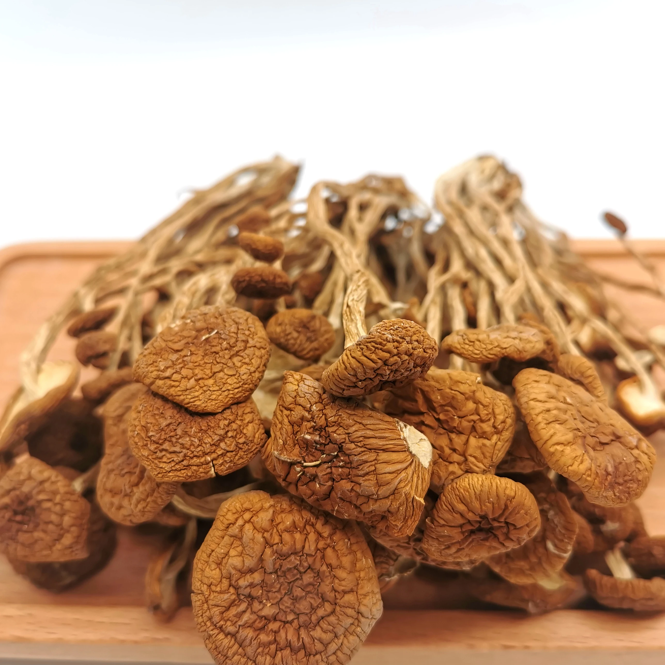 Air Dried Organic Vegetable Export Dry Oyster shitake Black Fungus Mushroom