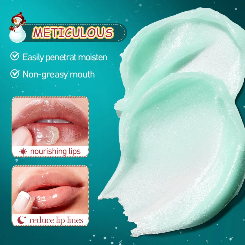 Christmas Gift Box Lip Balm Set Organic Herbal Lipstick Care Gift Set Moisturizing Lip Balm for Dry Lips