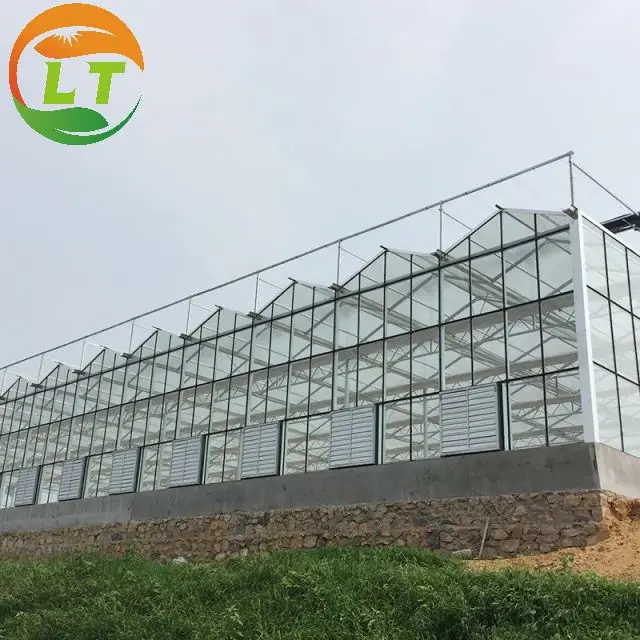 Galvanized skeleton good light transmittance heat preservation glass greenhouse for sale