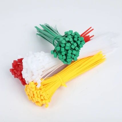 Professional Production Low Price Heat Resistance Plastic Nylon66 Cable Tie