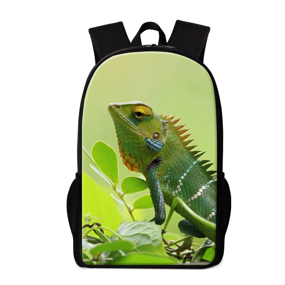 600D Polyester Printed Oxford Fabric Children Backpack Boys and Girls Teenager Book Bag School Bag Printing for Kids