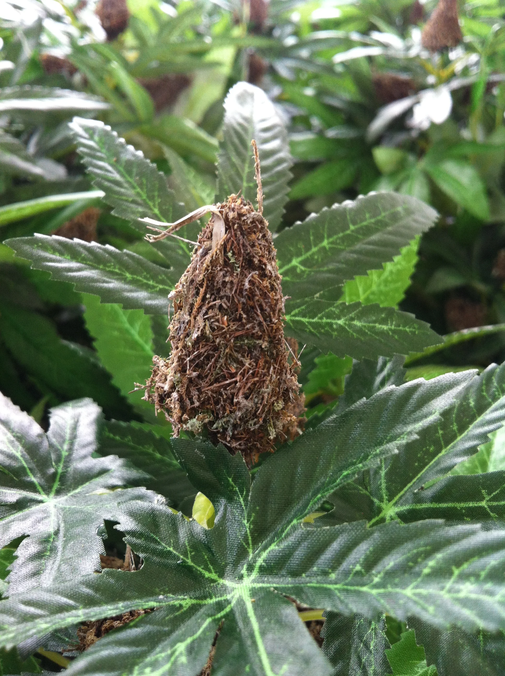 Wholesale Artificial cannabis plant plastic cannabis plant